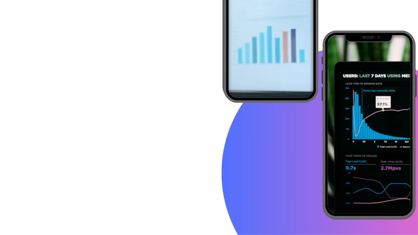Audience Insights