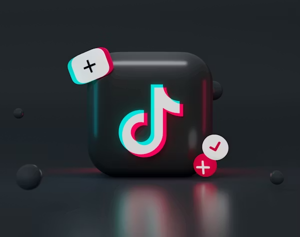 How to use TikTok follower exporter tool