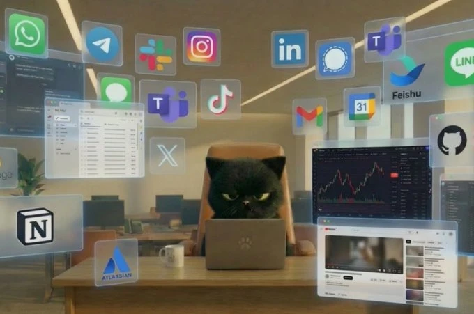 Twitter Email Finder dashboard preview