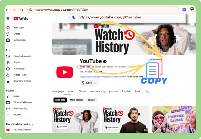 step1 Input Data for Extraction